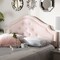 Baxton Studio Cora Light Pink Velvet Upholstered Queen Size Headboard 154-9319 - alternate 5